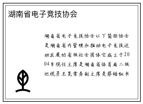 湖南省电子竞技协会