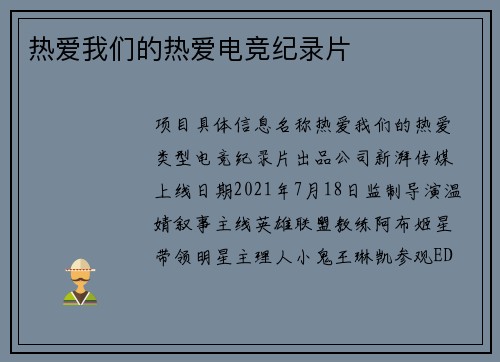 热爱我们的热爱电竞纪录片